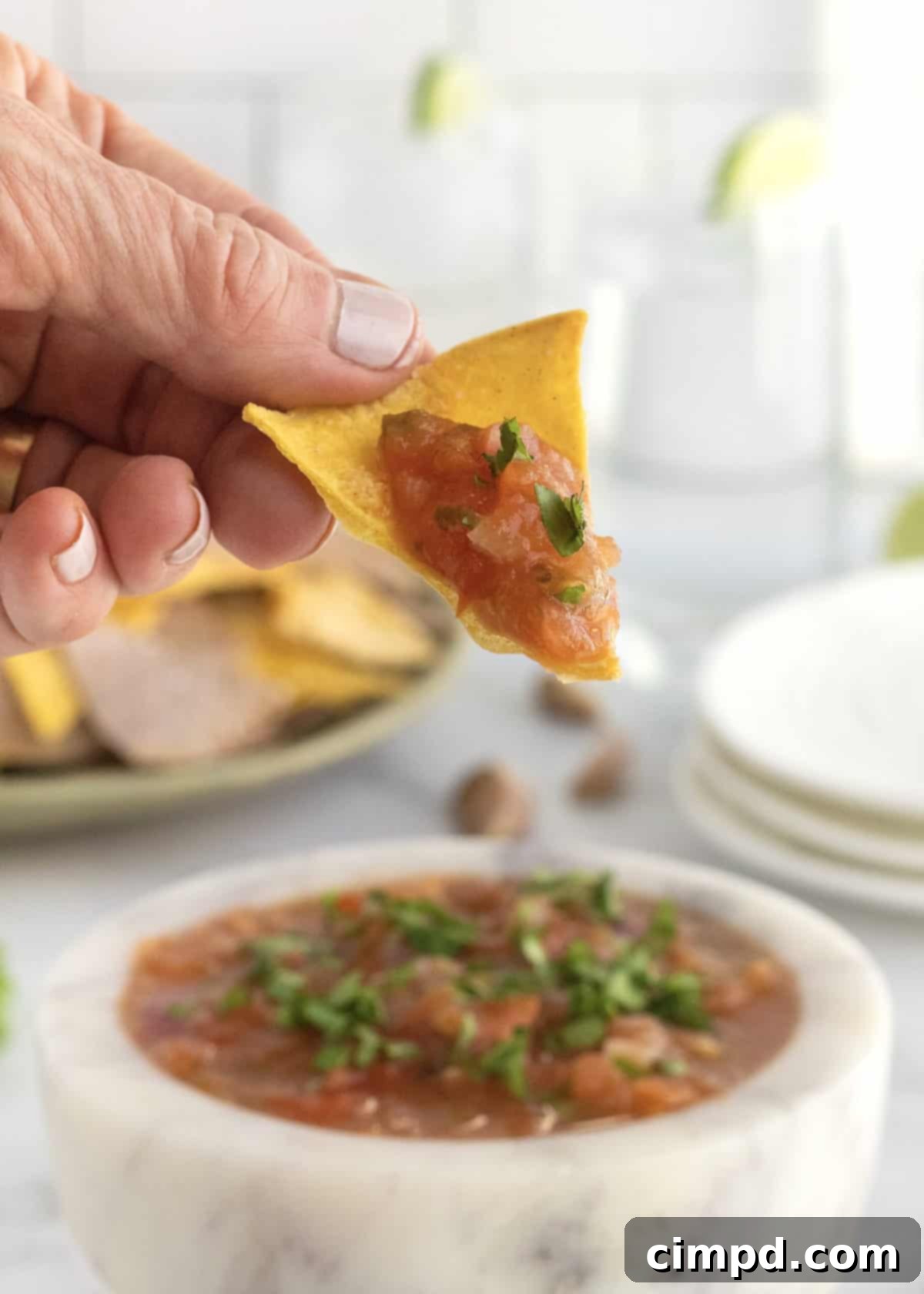 Fire-Kissed Tomato Salsa 3 Roasted Tomato Salsa by The BakerMama
