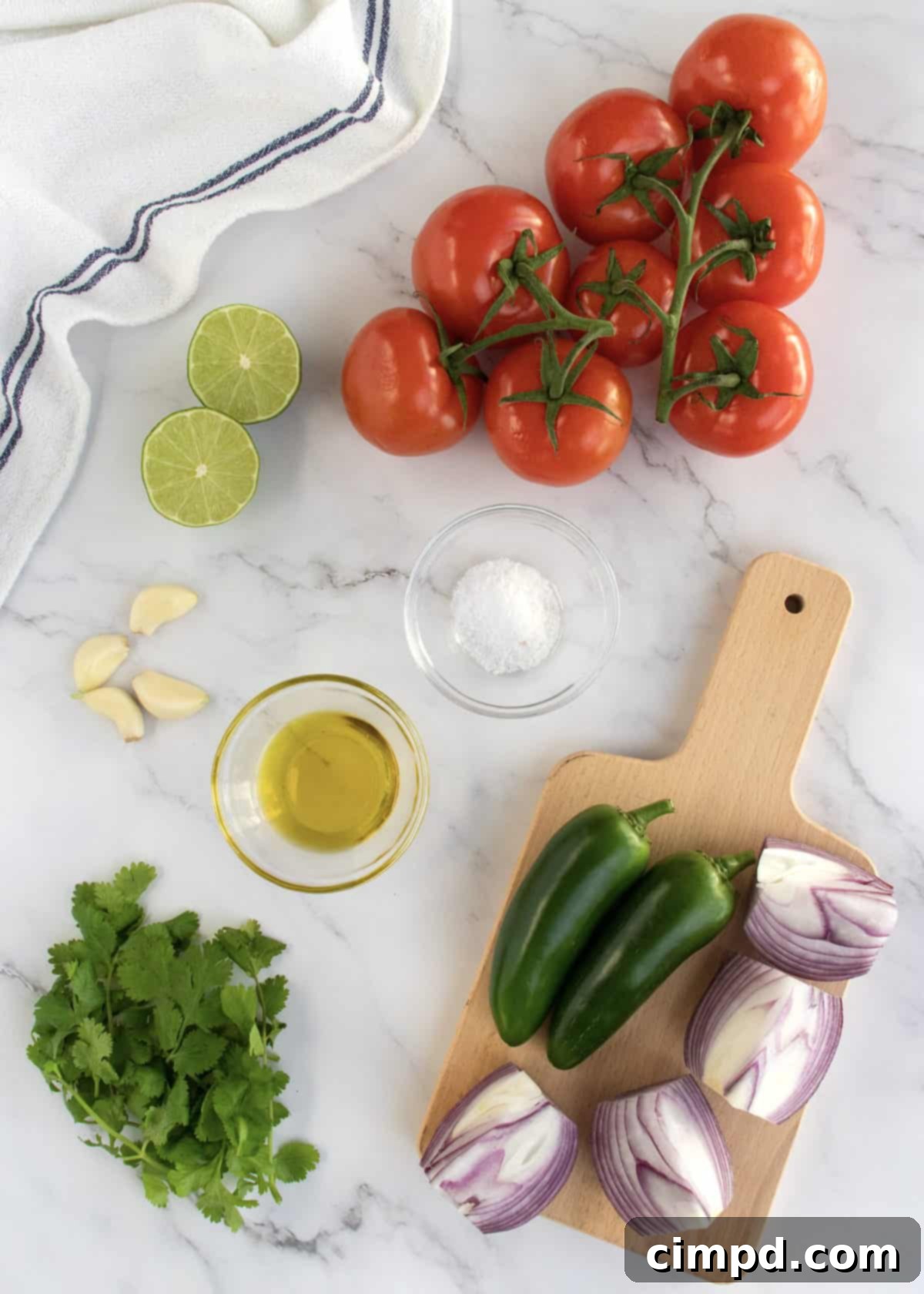 Fire-Kissed Tomato Salsa 4 Roasted Tomato Salsa by The BakerMama