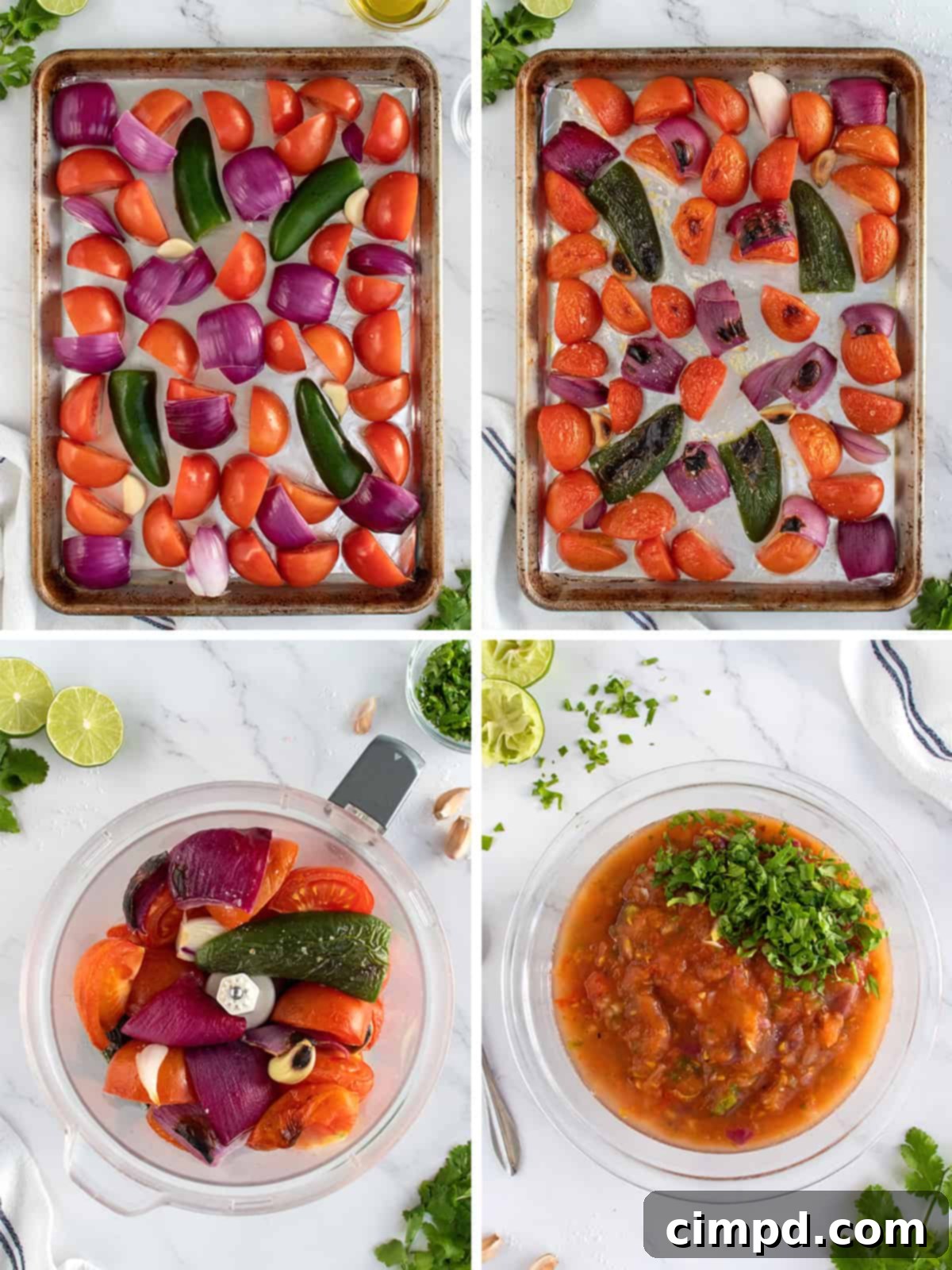 Fire-Kissed Tomato Salsa 5 Roasted Tomato Salsa by The BakerMama