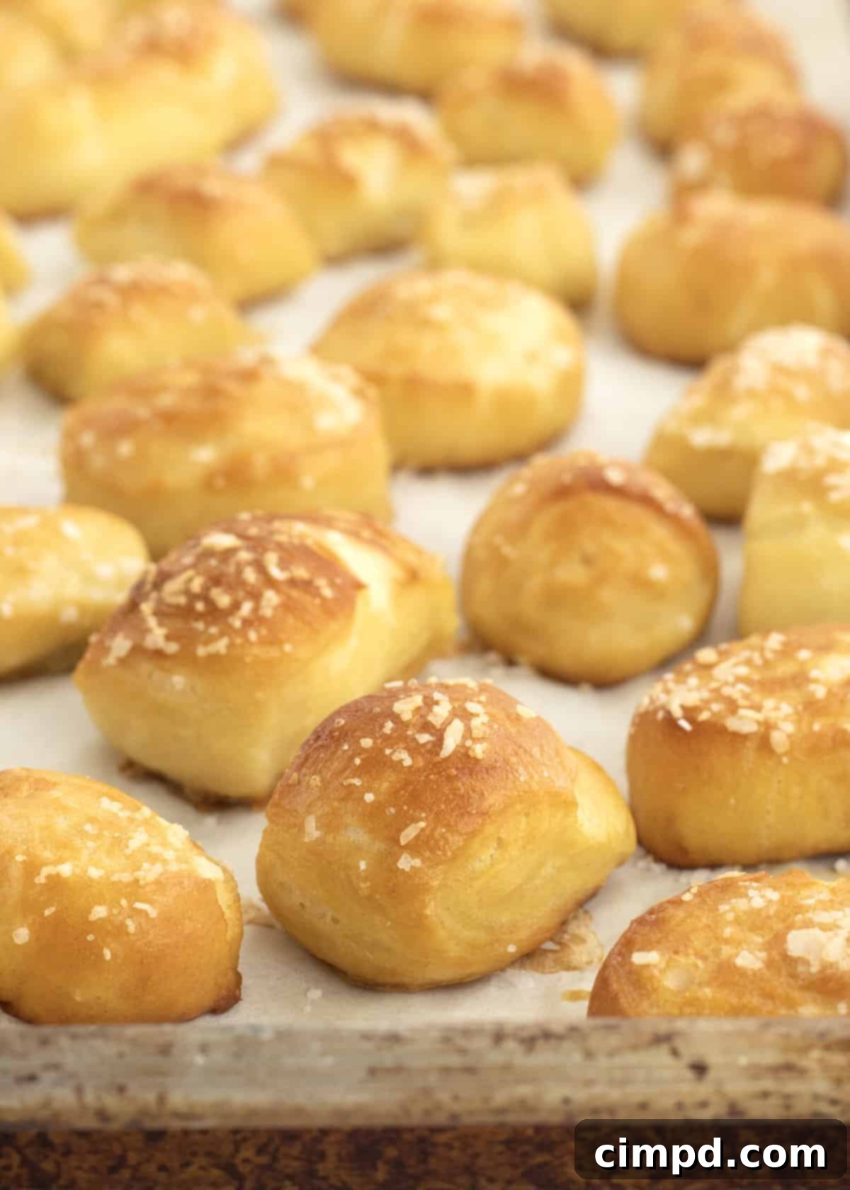 Warm Pretzel Bites & Gooey Cheese Dip 4 Soft Pretzel Bites by The BakerMama