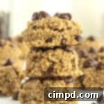 4-Ingredient Steel Cut Oat Cookies by The BakerMama