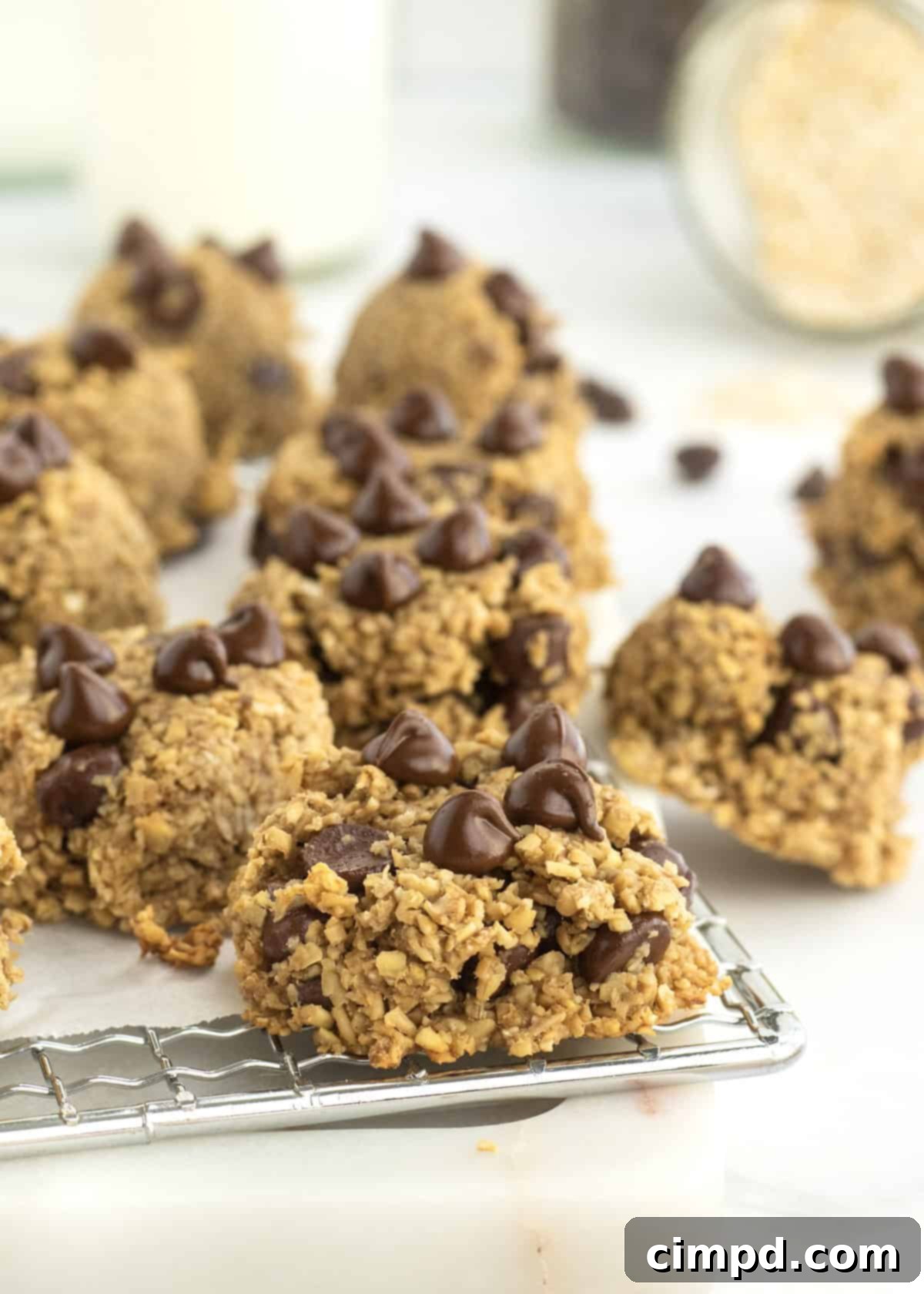 Ingredients for 4-Ingredient Steel Cut Oat Cookies laid out
