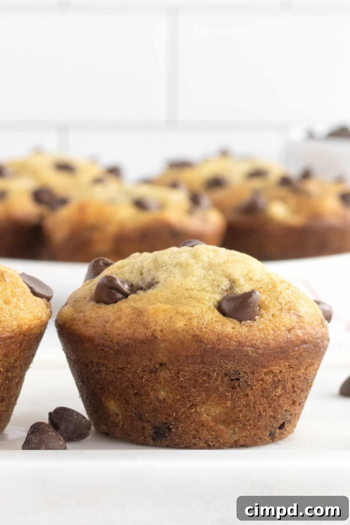 Banana Chocolate Chip Muffins by The BakerMama