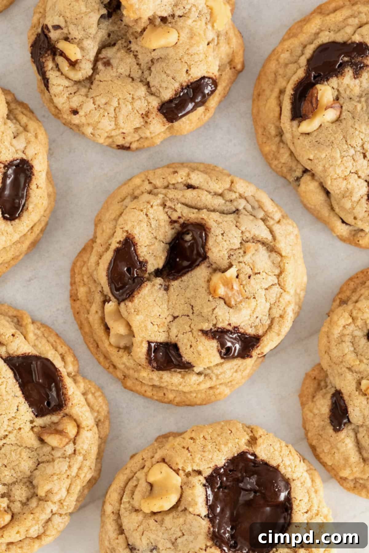 A close up of dark chocolate chunk walnut cookies.