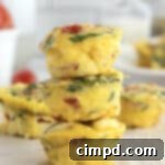 Savory Bacon, Spinach and Tomato Egg Bites 10 Bacon Spinach and Tomato Egg Bites by The BakerMama