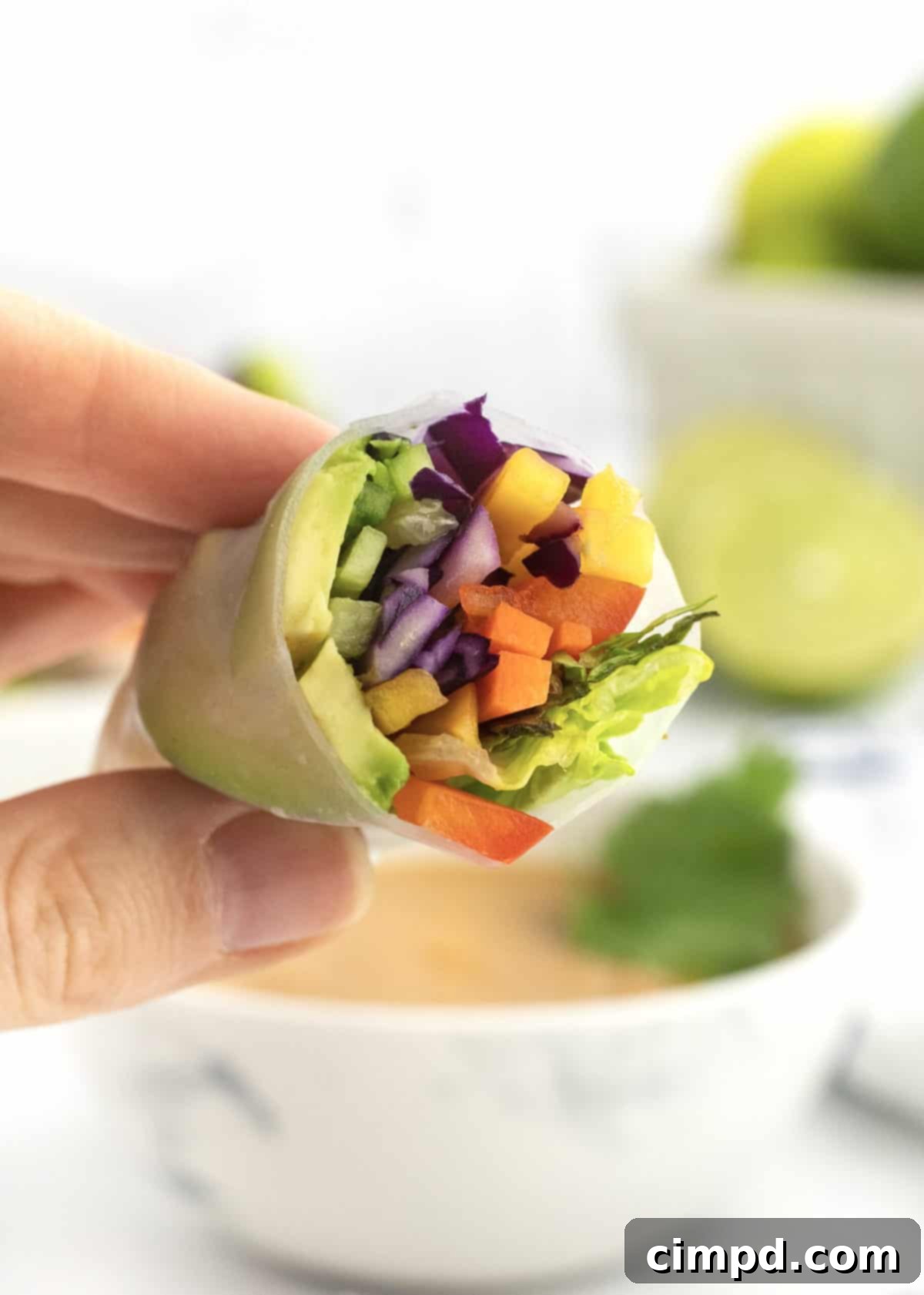 Refreshing Summer Wraps 4 A platter of Fresh Summer Rolls, neatly arranged and ready to be served, highlighting the fresh fillings.