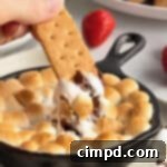 S'mores Skillet Dip by The BakerMama
