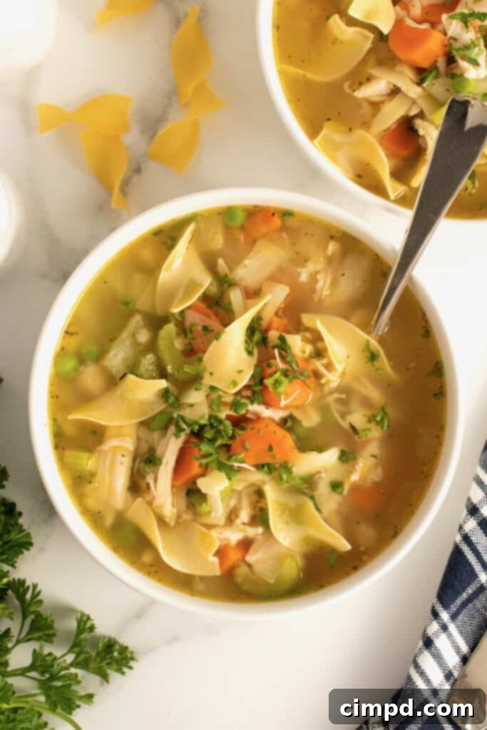 Homemade Chicken Noodle Comfort 8 Homemade Chicken Noodle Soup by The BakerMama
