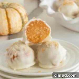 Pumpkin Pie Balls by The BakerMama