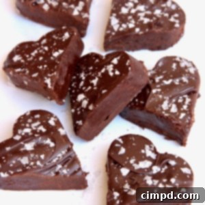 Dark Chocolate Fudge with Sea Salt by The BakerMama