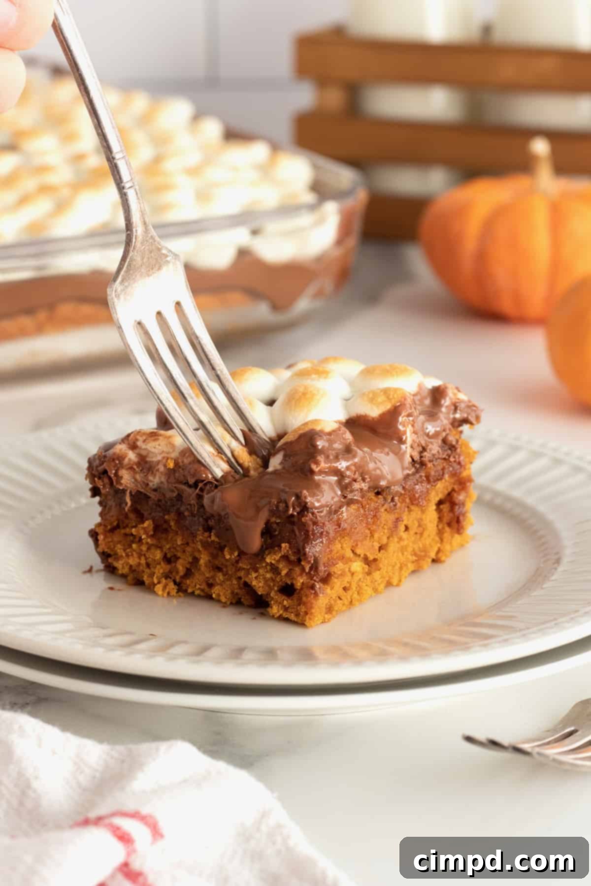 A close-up shot of the top of the Pumpkin S'mores Snack Cake, highlighting the beautifully browned and gooey marshmallows over a layer of melted chocolate.