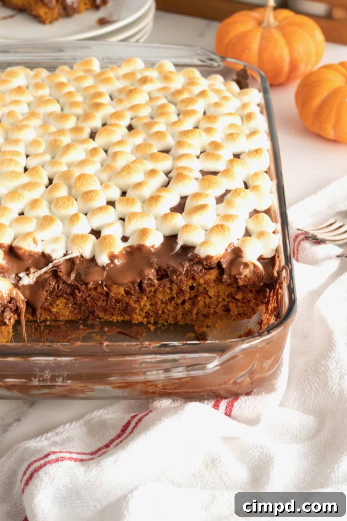 A close-up of a generous slice of Pumpkin S'mores Snack Cake, highlighting its moist texture and perfect golden-brown marshmallow topping.
