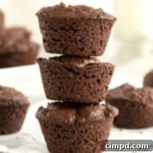 Easy Fudgy Brownie Bites 11 Brownie Bites by The BakerMama