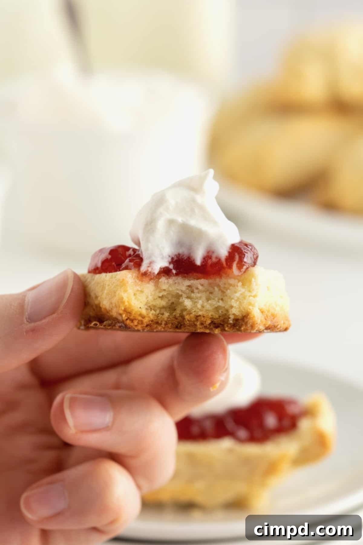 Simple Scones by The BakerMama