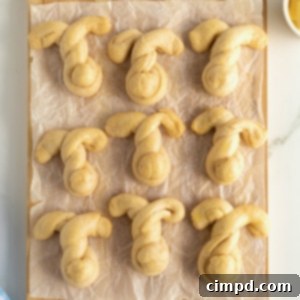 Fluffy Bunny Crescent Rolls 12 Bunny Shaped Crescent Dinner Rolls by The BakerMama
