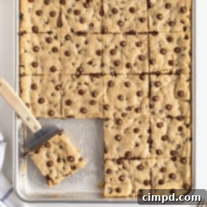 Sheet Pan Chocolate Chip Cookie Bars by The BakerMama
