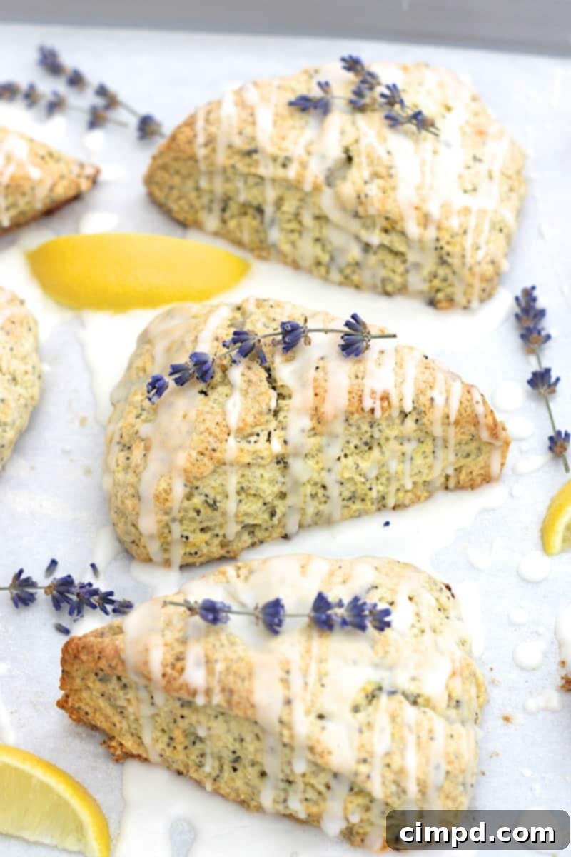 Beautifully baked Lemon Lavender Poppy Seed Scones, dusted with powdered sugar, arranged on a cooling rack.