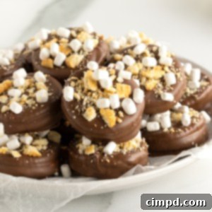 No-Bake Smores Cracker Bites 10 A white serving plate with chocolate covered cracker bites covered in graham cracker bits and mini marshmallows.