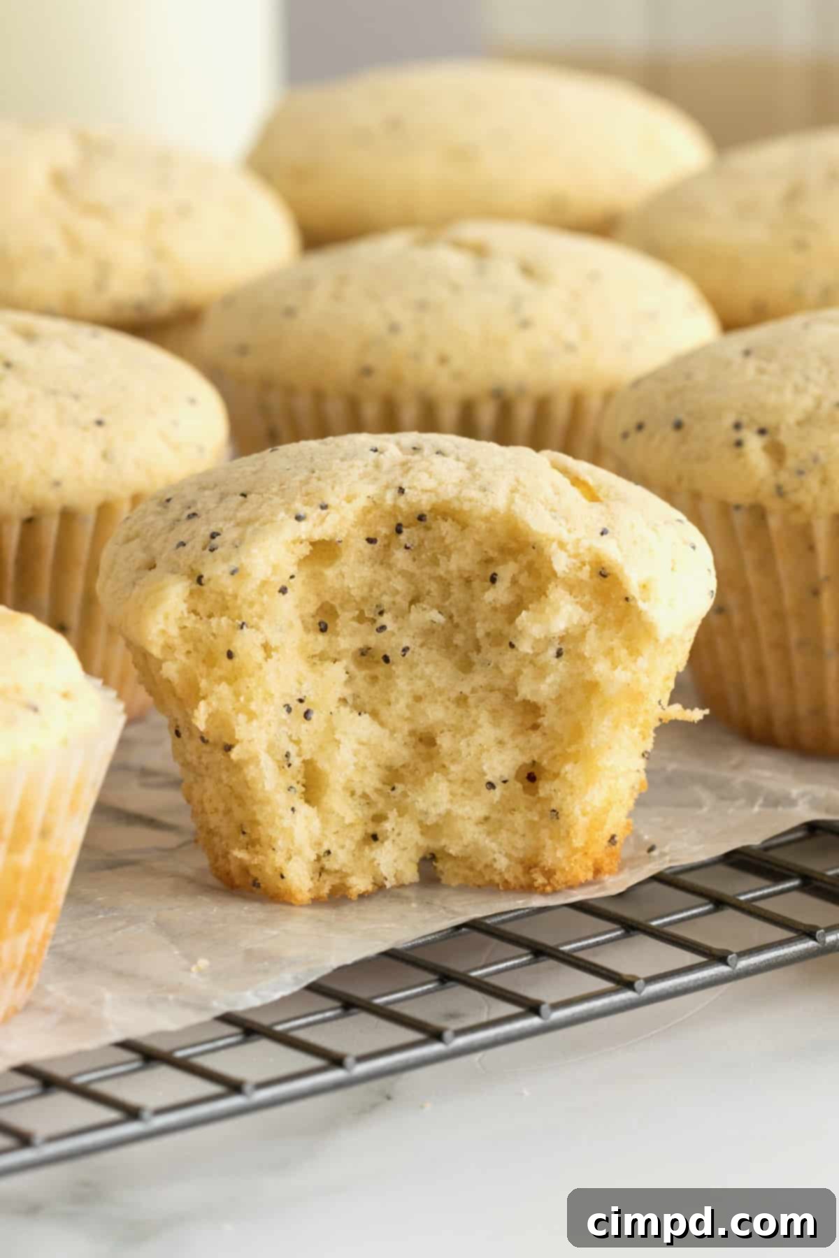 Zesty Lemon Poppy Seed Delights 10 Several lemon poppy seed muffins cooling on a parchment-lined wire rack, ready for storage.