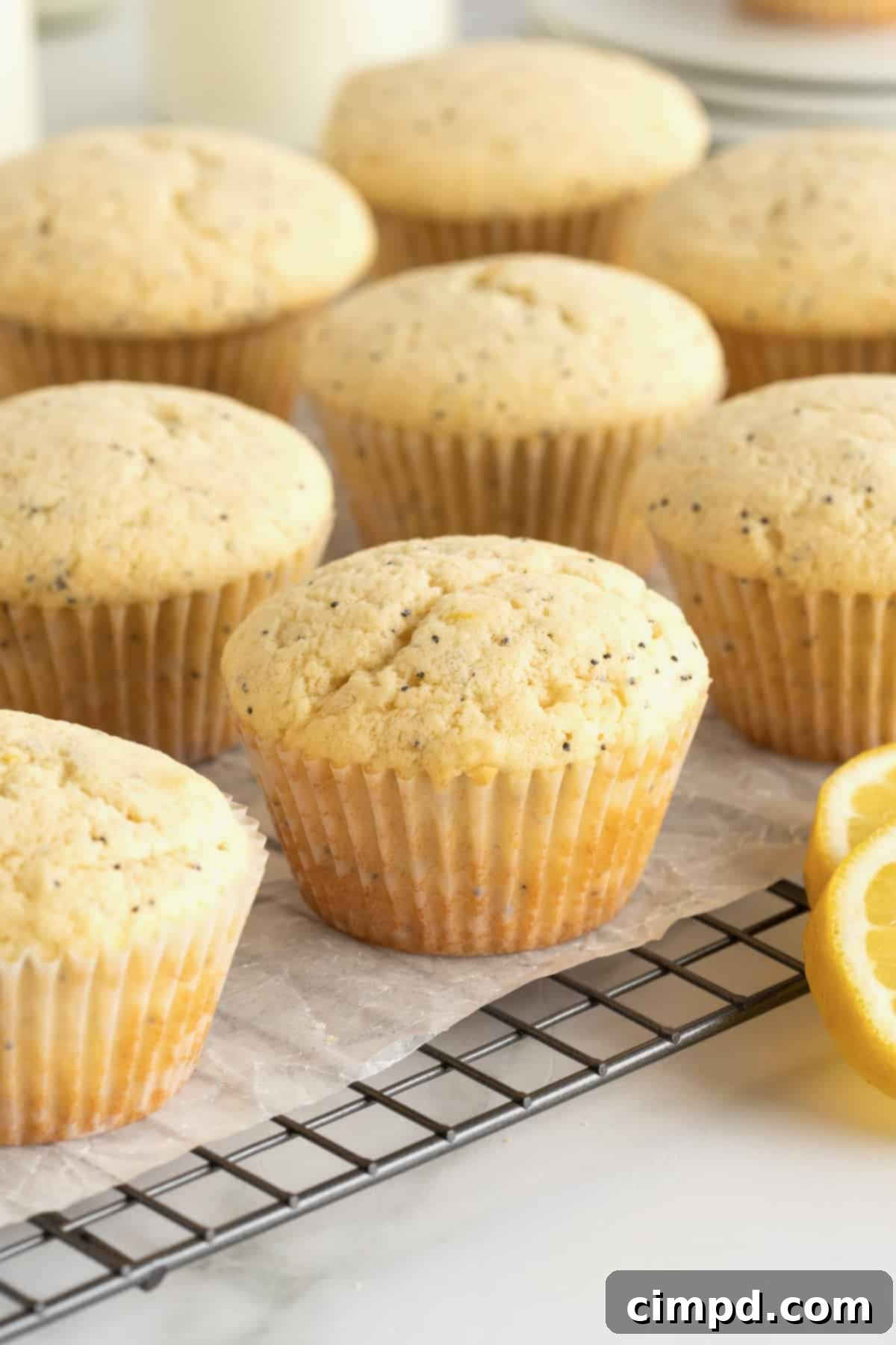Zesty Lemon Poppy Seed Delights 3 Freshly baked lemon poppy seed muffins cooling on a parchment-lined wire rack, highlighting their perfectly domed tops.
