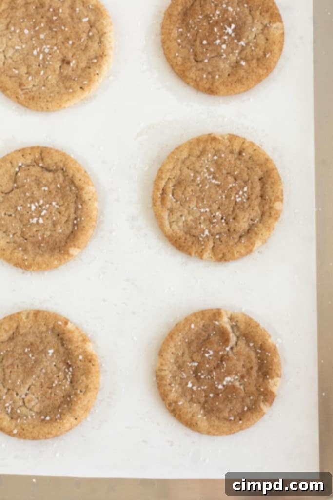 Baked Snickerdoodle cookies sprinkled with salt. 