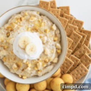 Dreamy Banana Pudding Dip 9 A bowl of banana pudding topped with whipped cream and two banana slices surrounded by graham crackers and Nilla wafers.