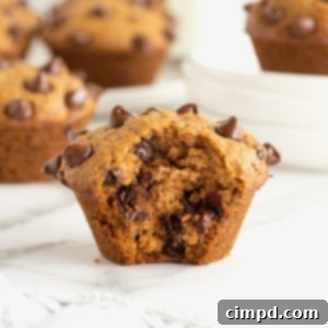 A pumpkin chocolate chip muffin with a bite taken out of it on a white marble counter, highlighting its texture.