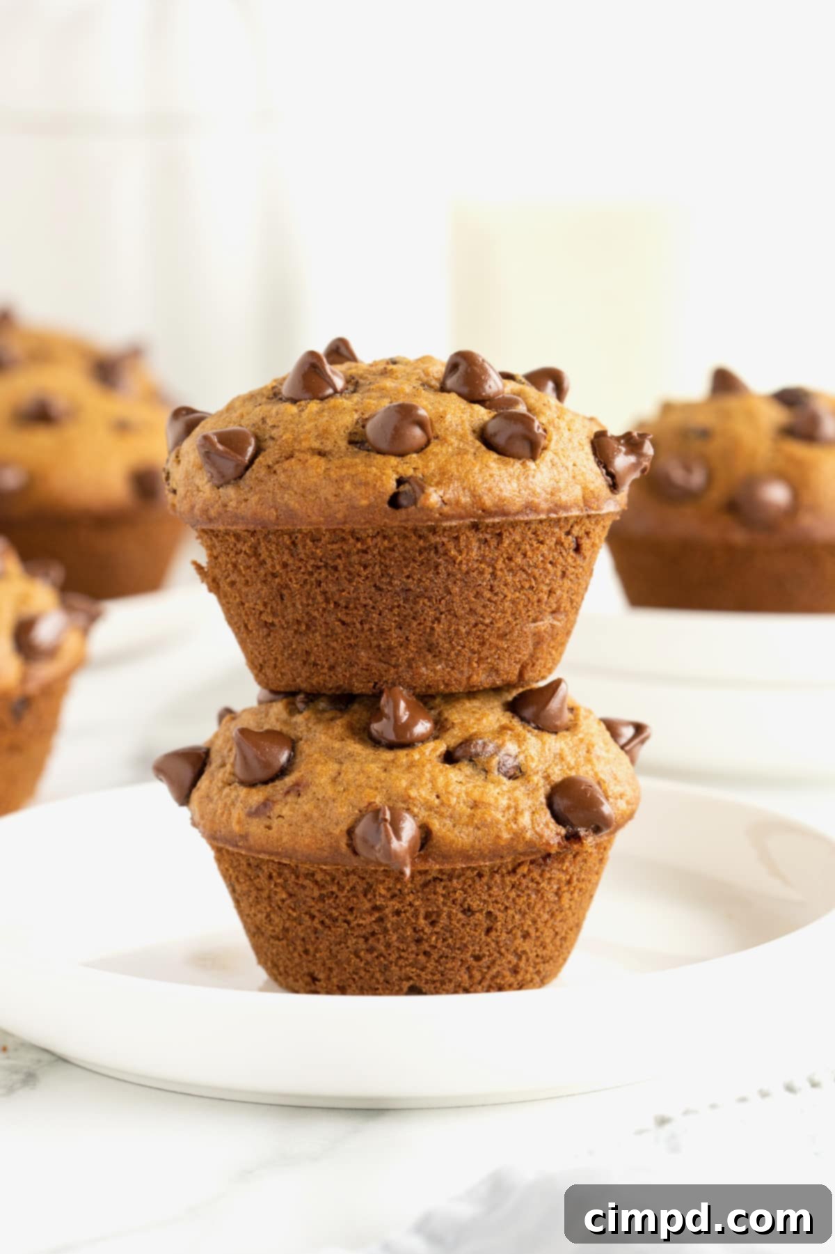 Two pumpkin chocolate chip muffins, one stacked on top of the other, on a simple white serving plate.
