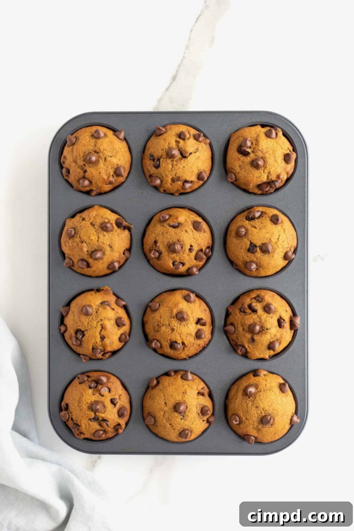 A fresh batch of 12 pumpkin chocolate chip muffins cooling in a non-stick muffin tin after baking.