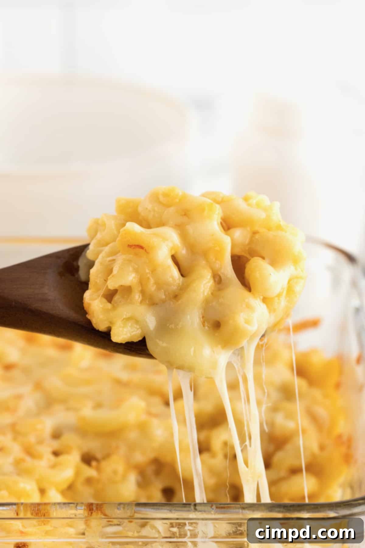 Creamy Muenster Mac and Cheese 3 A wooden spoon lifting a scoop of melty Muenster Mac and Cheese from a glass baking dish, showcasing its gooey texture.