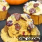 Harvest Ruby Cocoa Muffins 2 Pumpkin Cranberry Dark Chocolate Chip Muffins Recipe