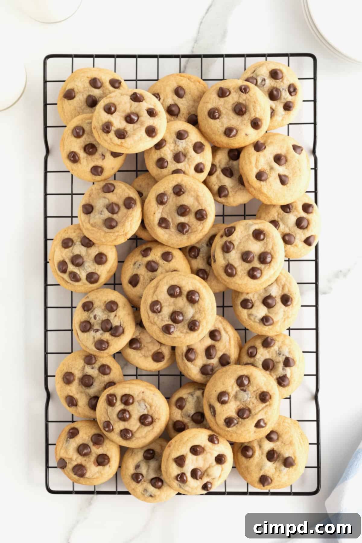 The Ultimate Chocolate Chip Cookies 11 A dark metal cooling rack brimming with golden-brown chocolate chip cookies, signaling a fresh batch ready to be enjoyed.