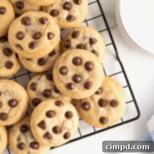 The Ultimate Chocolate Chip Cookies 13 A dark metal cooling rack filled with chocolate chip cookies. There is a stack of white plates in the upper right corner next to the wire rack.