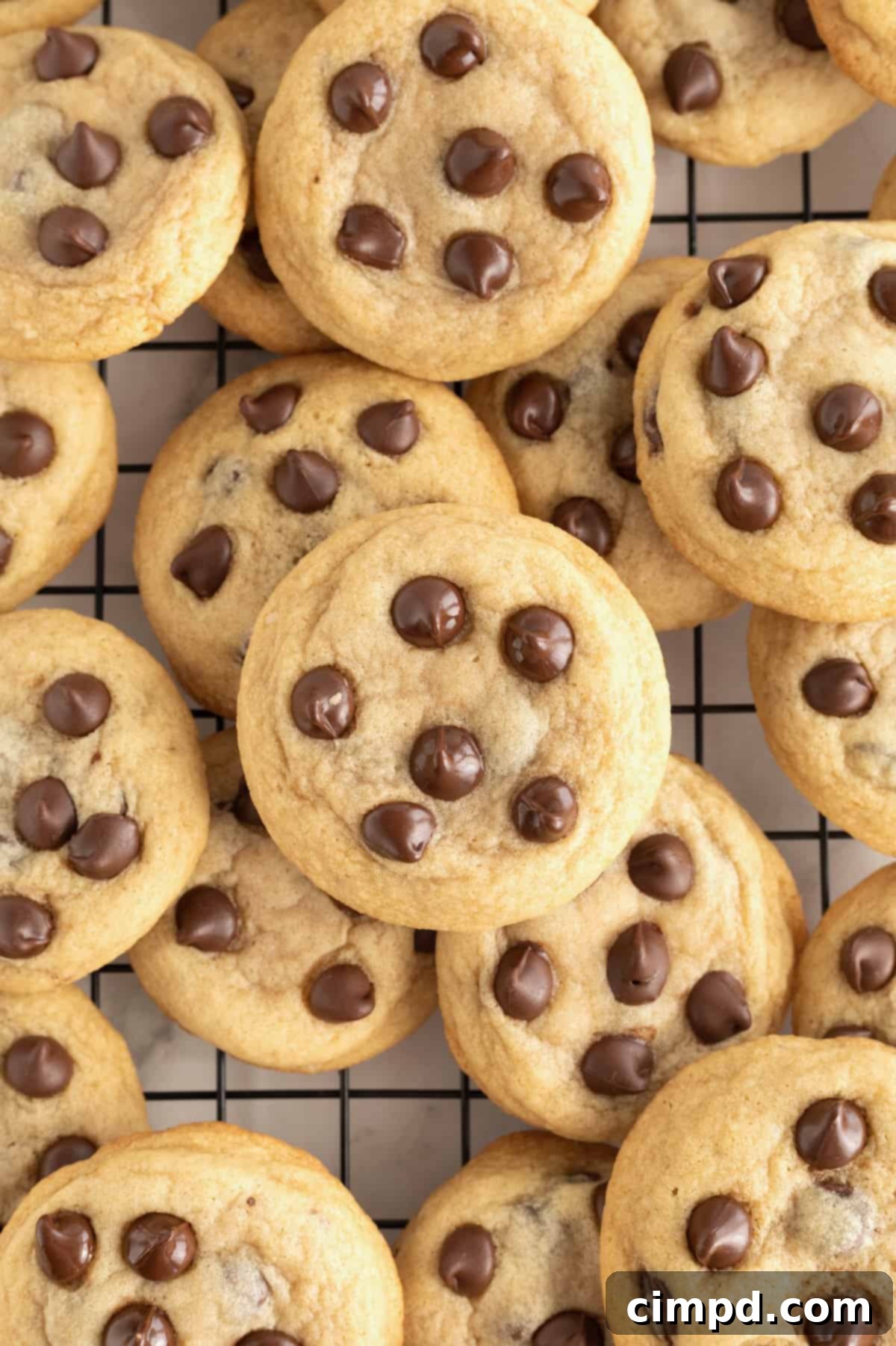 The Ultimate Chocolate Chip Cookies 5 A dark metal cooling rack is completely filled with beautifully baked chocolate chip cookies, showcasing their golden edges and melty chocolate.