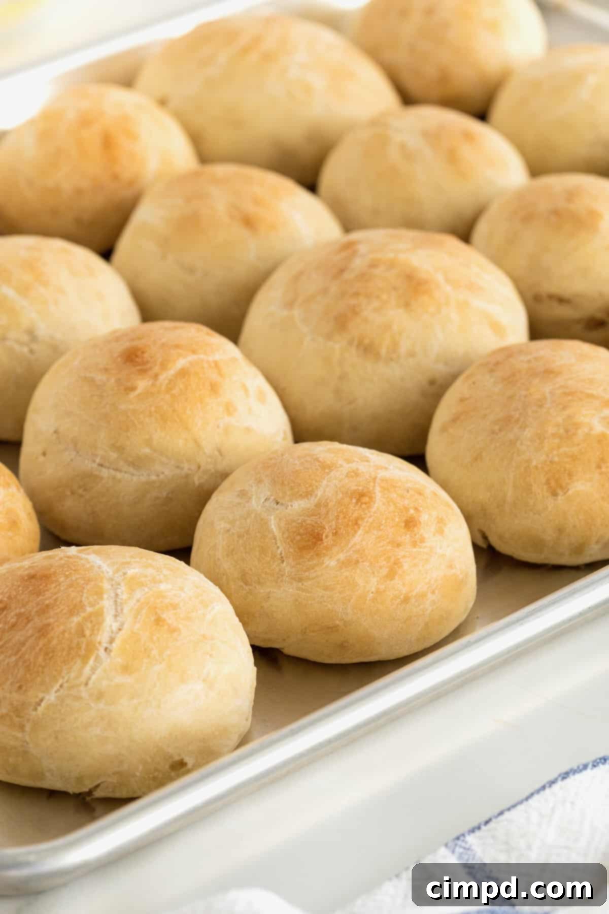 Traditional Dinner Rolls 2 Twelve perfectly baked, golden-brown round dinner rolls arranged on a silver rimmed aluminum baking sheet, ready to be served.