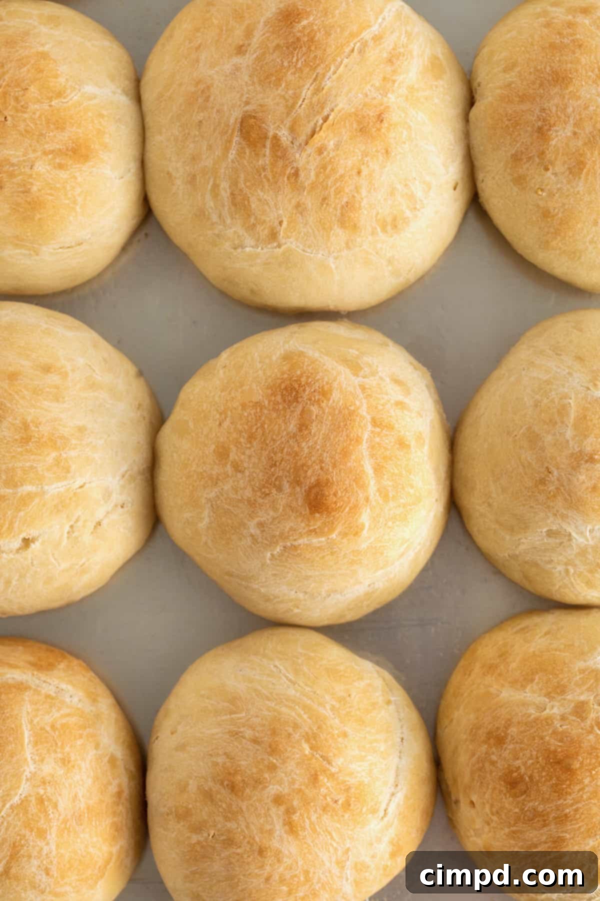 Traditional Dinner Rolls 10 Nine golden-brown round dinner rolls gracefully resting on a silver rimmed aluminum baking sheet, waiting to be served or stored.