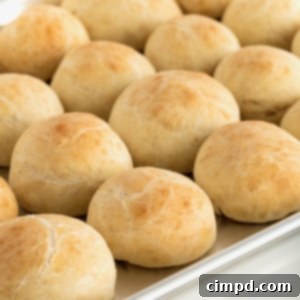 Traditional Dinner Rolls 12 Twelve round dinner rolls on a rimmed aluminum baking sheet.