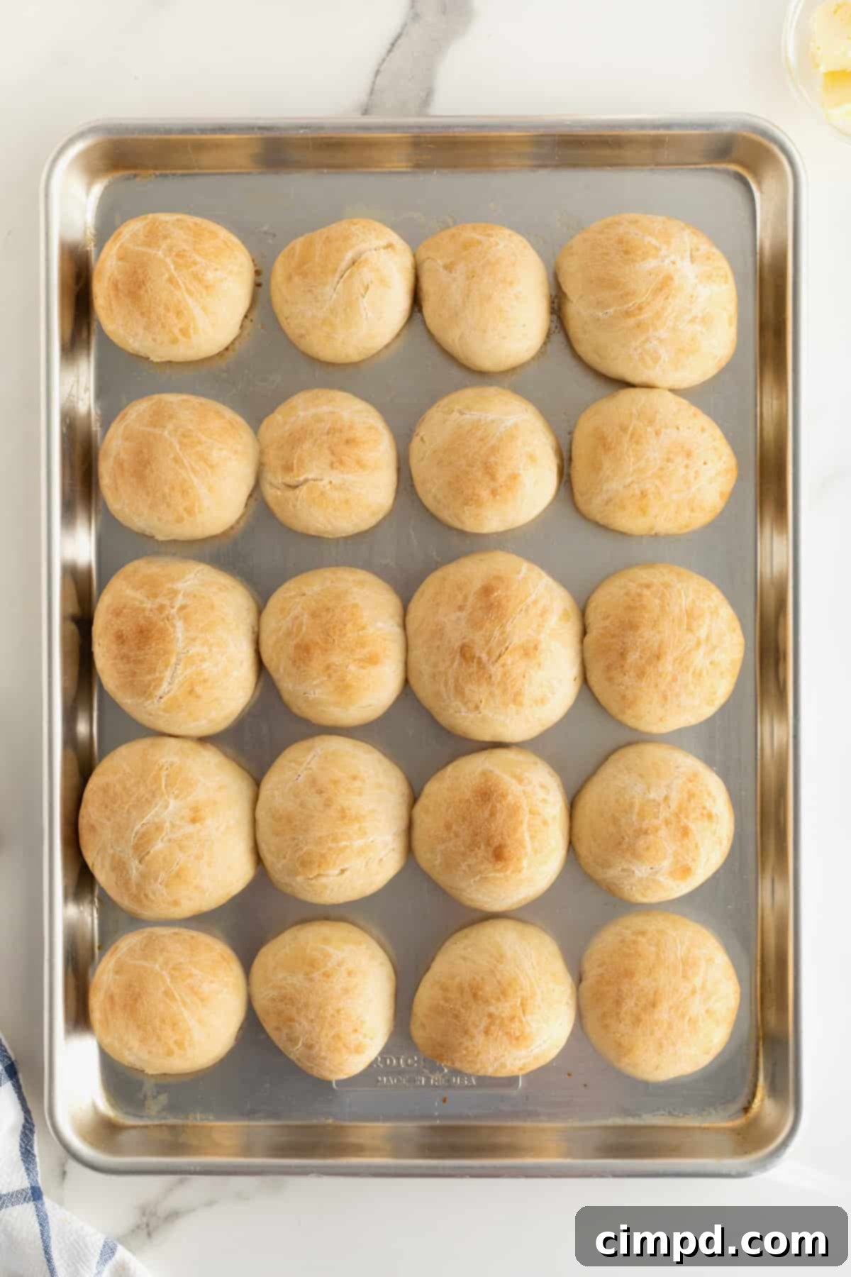 Traditional Dinner Rolls 8 Twenty perfectly baked, golden-brown round dinner rolls filling a silver rimmed aluminum baking sheet, glistening and ready to be served hot from the oven.
