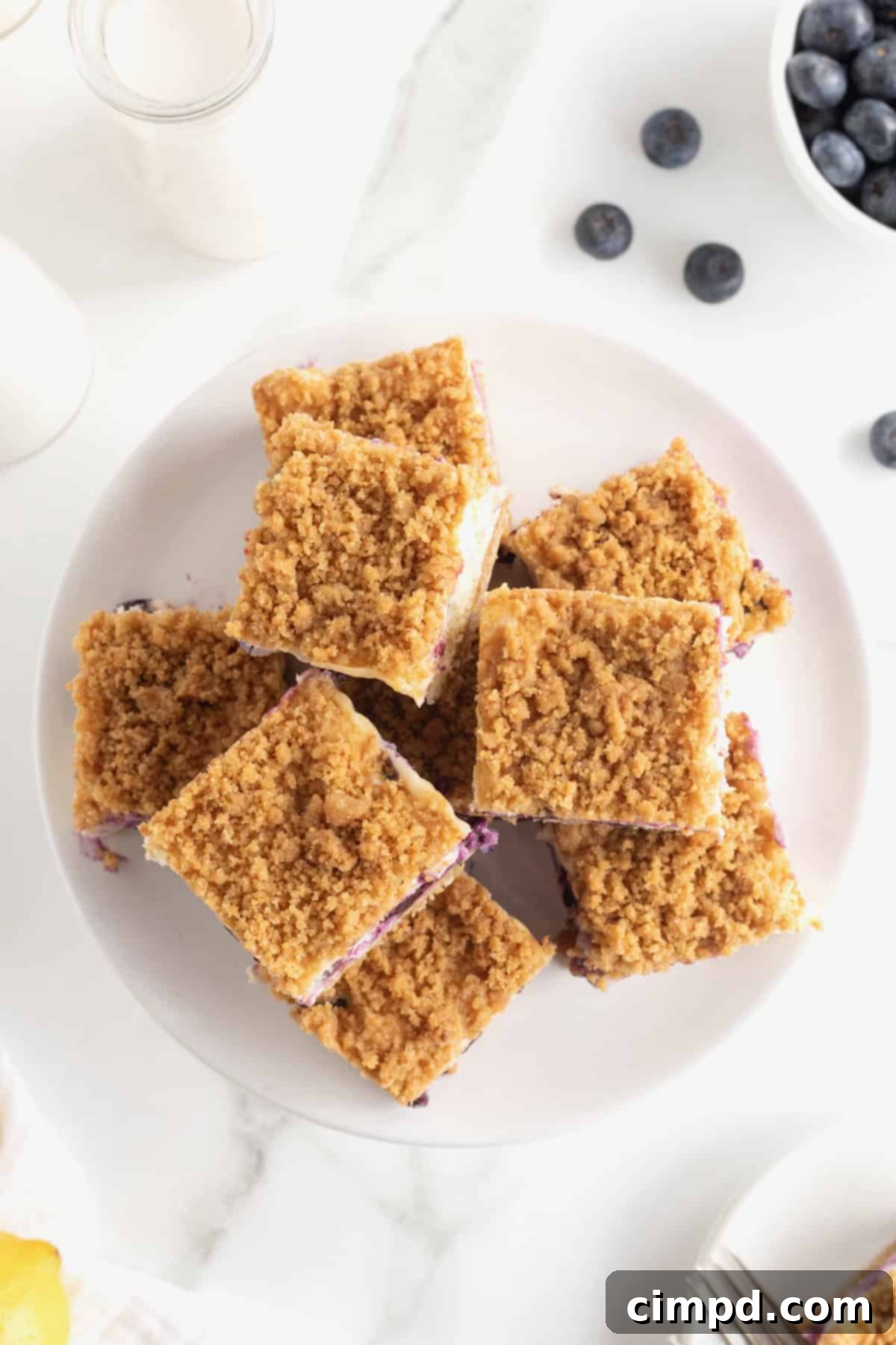 An inviting overhead shot of eight neatly arranged cheesecake bars on a large white serving plate, with fresh blueberries artfully scattered around the top right edge.