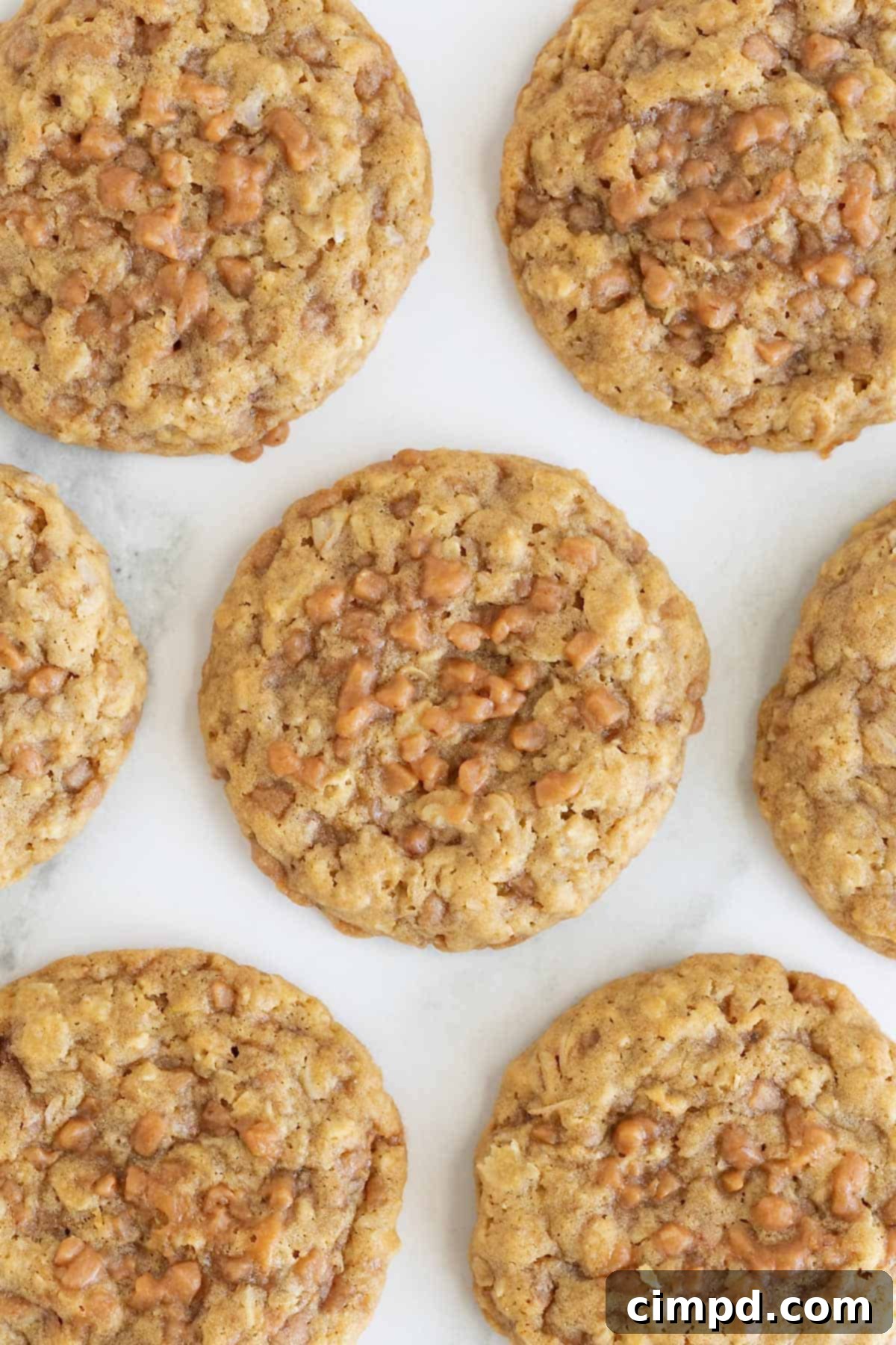 A close-up shot of seven perfectly baked Brown Sugar Oatmeal Toffee Crunch Cookies arranged on a piece of parchment paper, highlighting their delightful texture and golden hue.