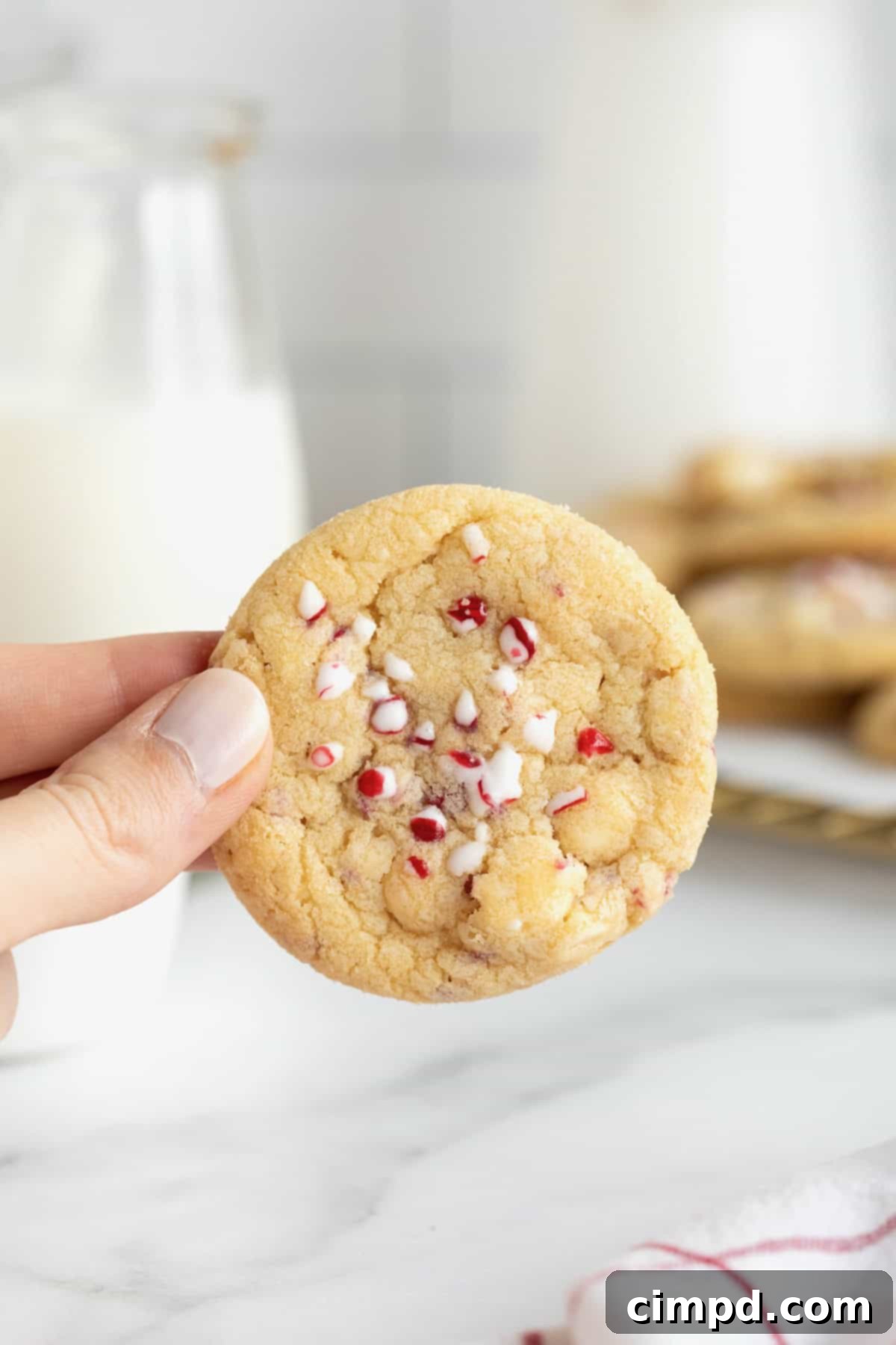 Dreamy Peppermint White Chocolate Pudding Cookies 4 A close-up shot of a hand delicately holding a peppermint white chocolate cookie, showcasing its perfect chewiness, with a festive carafe of milk artfully blurred in the background, ready for dipping.