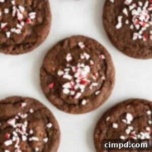 A delectable square image of a Chocolate Peppermint Crunch Cookie, showcasing its rich texture and festive topping.