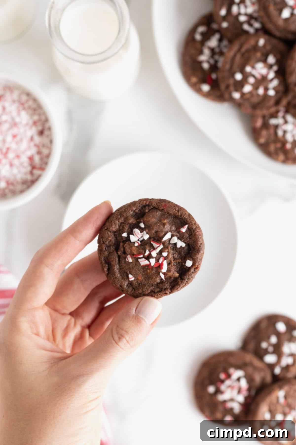 A hand gently holding a rich chocolate cookie, beautifully topped with a generous sprinkle of festive peppermint bits.