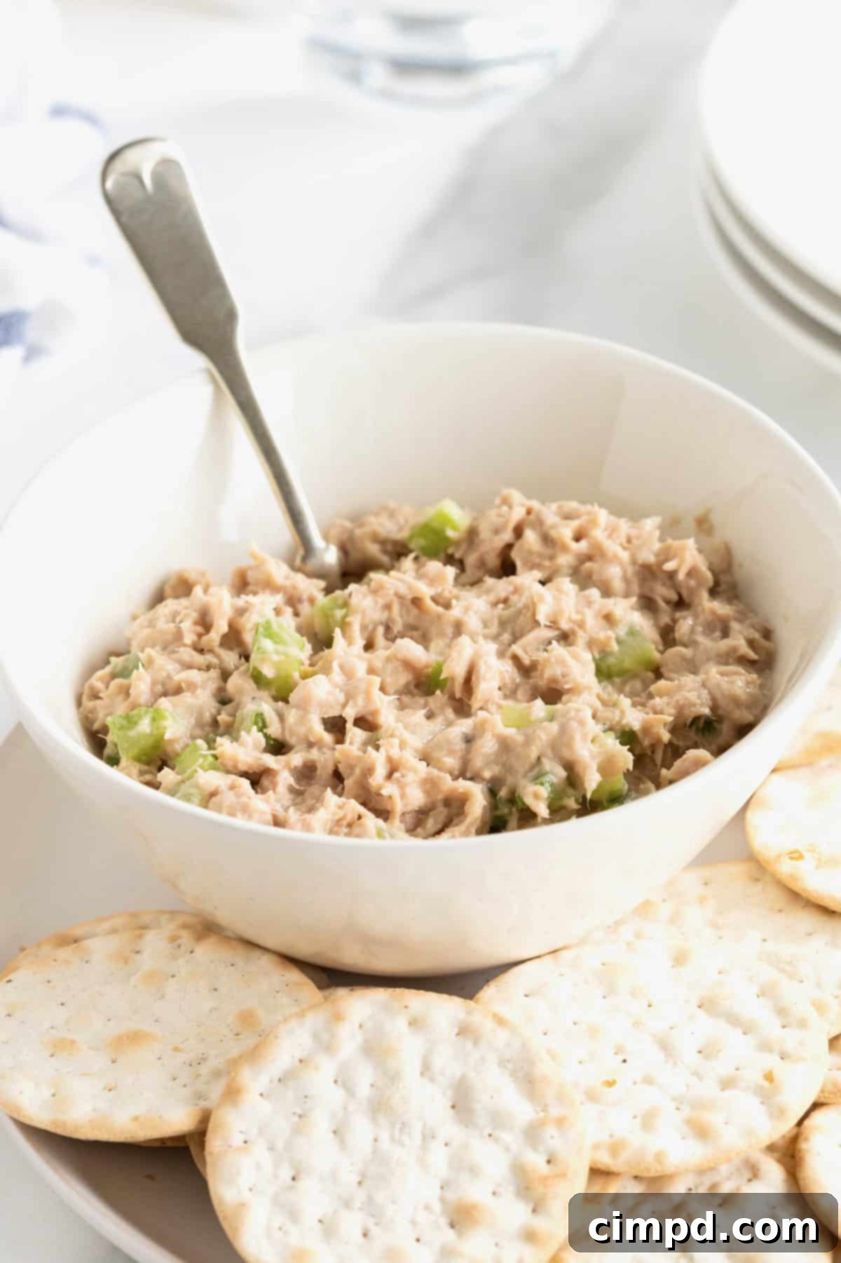 My Tuna Salad 2 A white bowl of tuna salad with a metal spoon sticking out. The bowl is sitting on a white dinner plate surrounded by round water crackers.