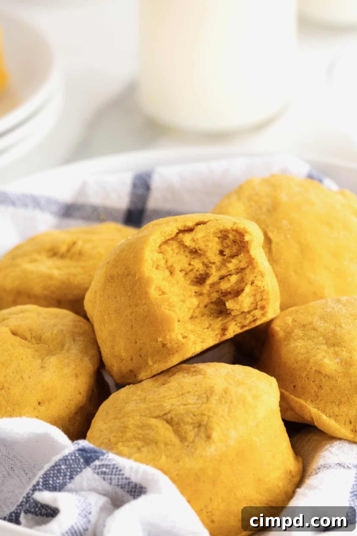 Three golden-brown pumpkin biscuits on a white plate, ready to be served.