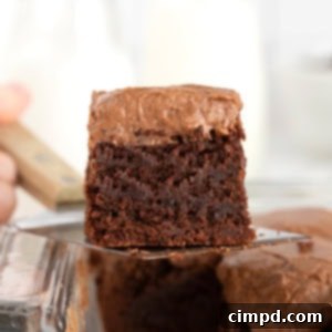 Mocha Velvet Brownies 14 img 37173 15