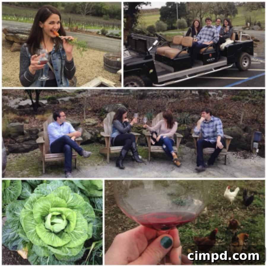 Arista Winery Healdsburg Sonoma - Stunning Vineyard Views