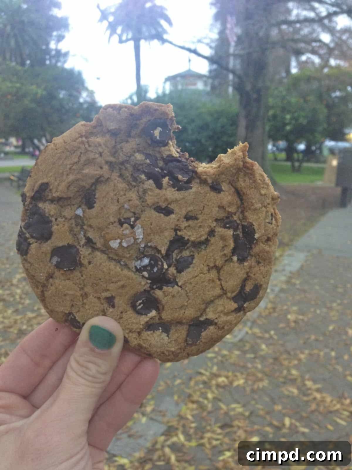 Healdsburg Square Sonoma - Local Delights