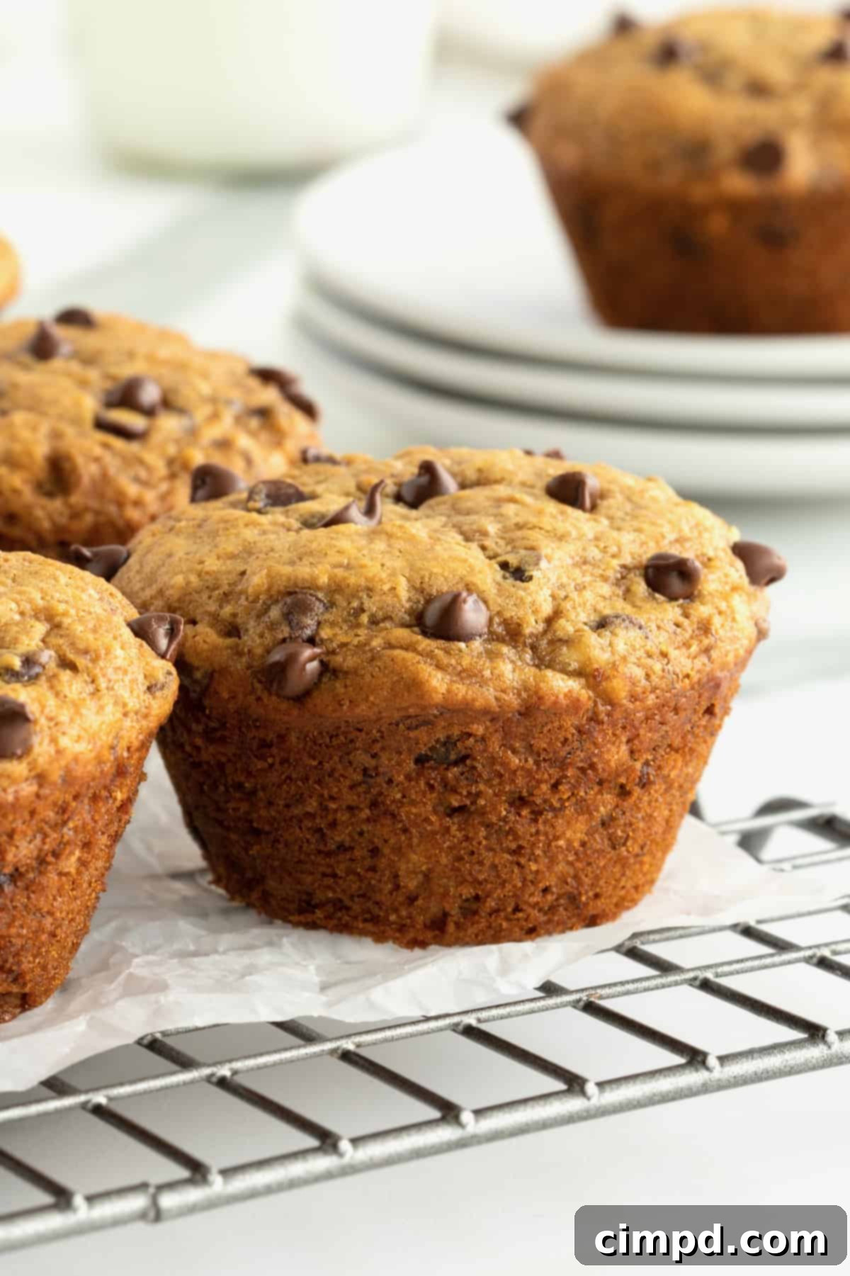 Healthy Whole Wheat Peanut Butter Banana Chocolate Chip Muffins – a perfect, satisfying start to your day or a wholesome snack for all ages, packed with flavor and nutrition.