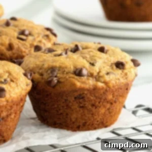 Whole Wheat Peanut Butter Banana Chocolate Chip Muffins by The BakerMama